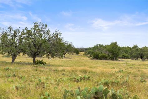 3049 Reservation Road Harper TX 78631