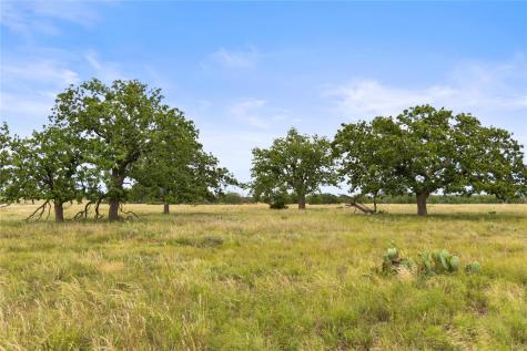 3049 Reservation Road Harper TX 78631