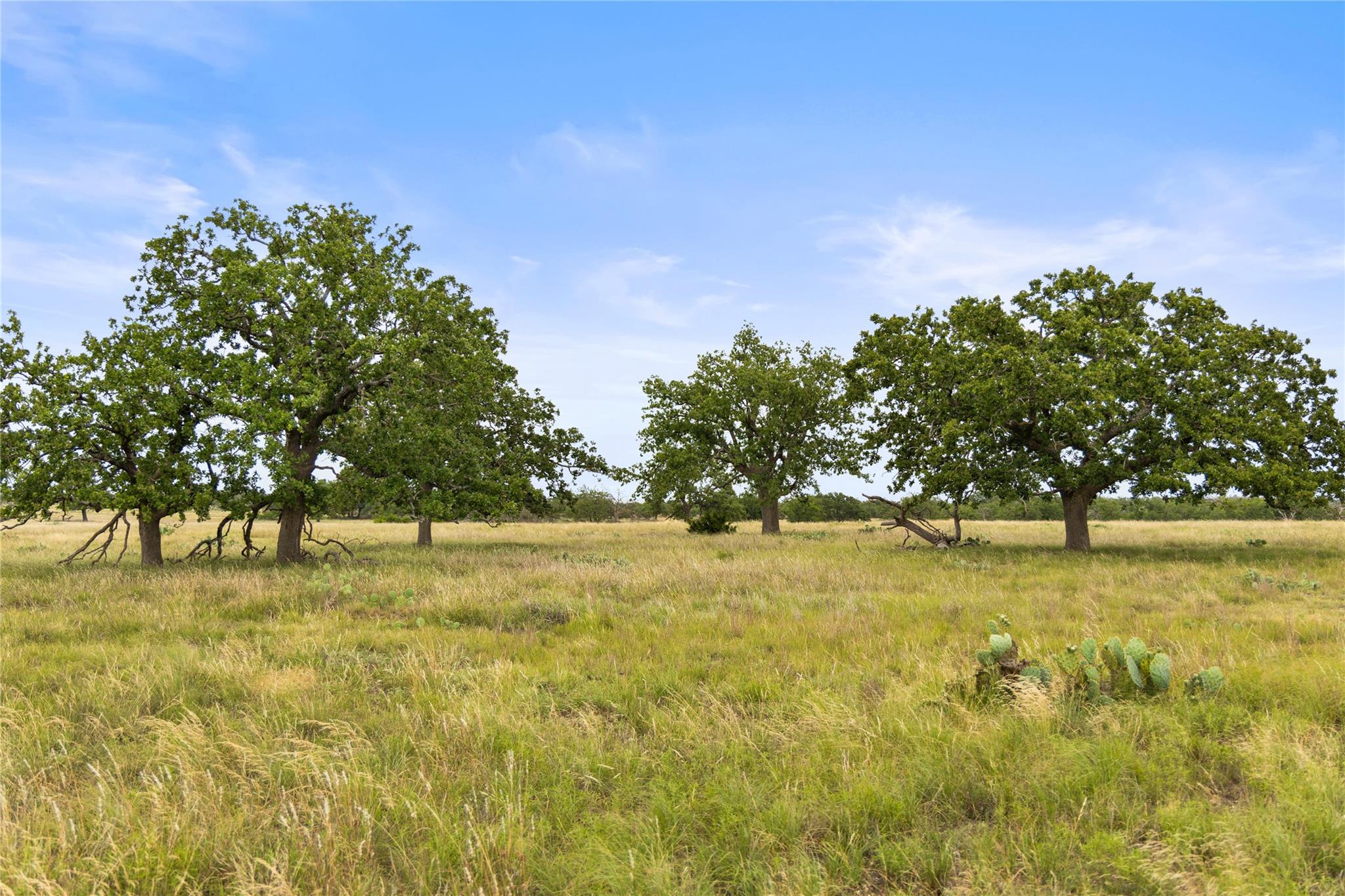 3049 Reservation Road Harper TX 78631