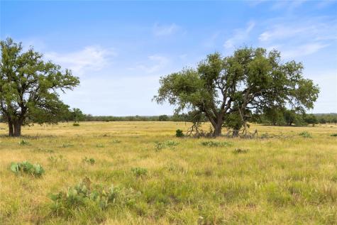 3049 Reservation Road Harper TX 78631