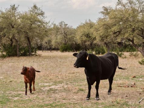 600 County Road 257 Liberty Hill TX 78642