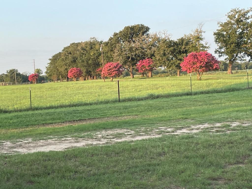 913 Cr 237 Cameron TX 76520