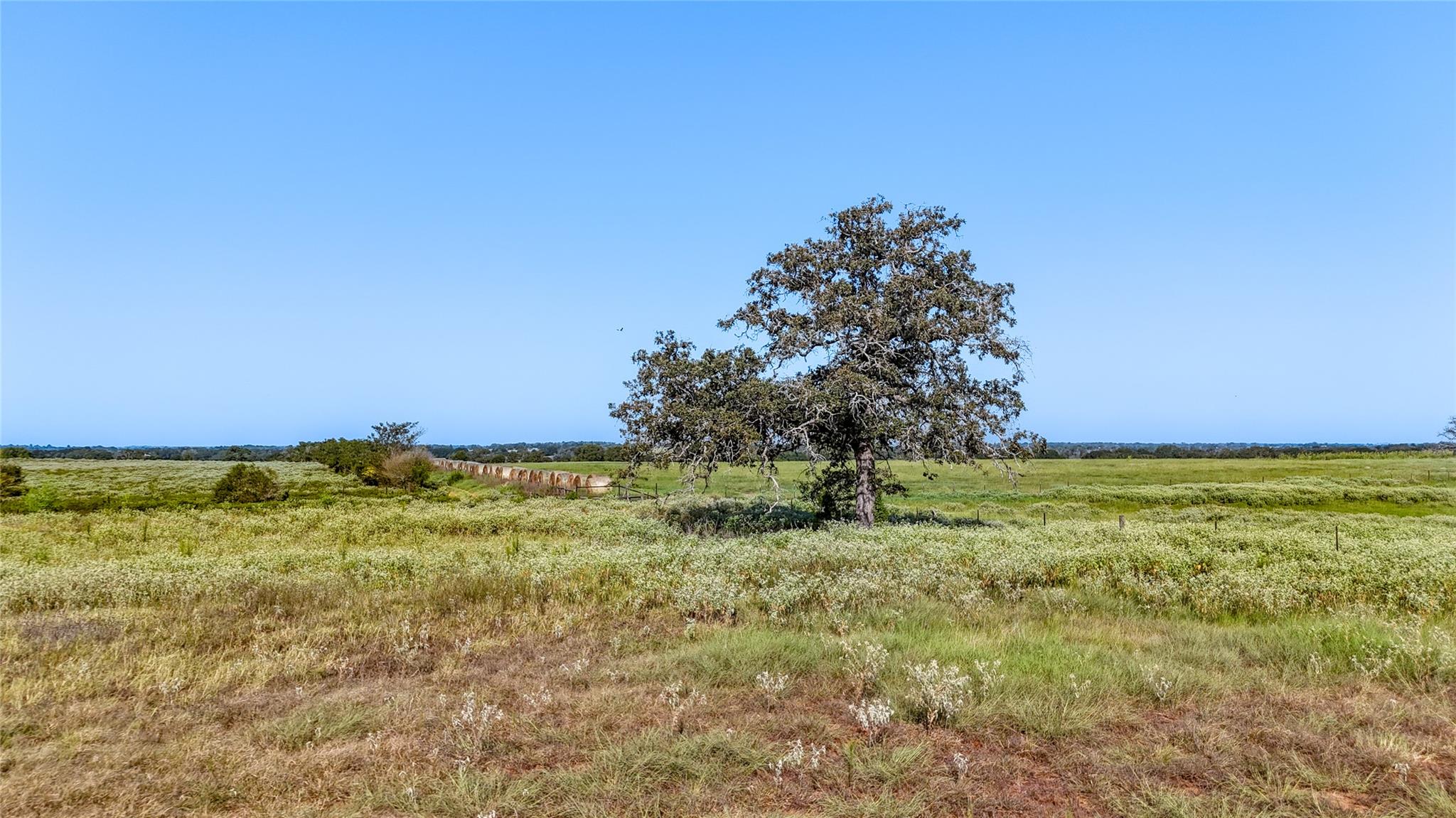 Tbd County Road 326 (Tract 3) Giddings TX 78942