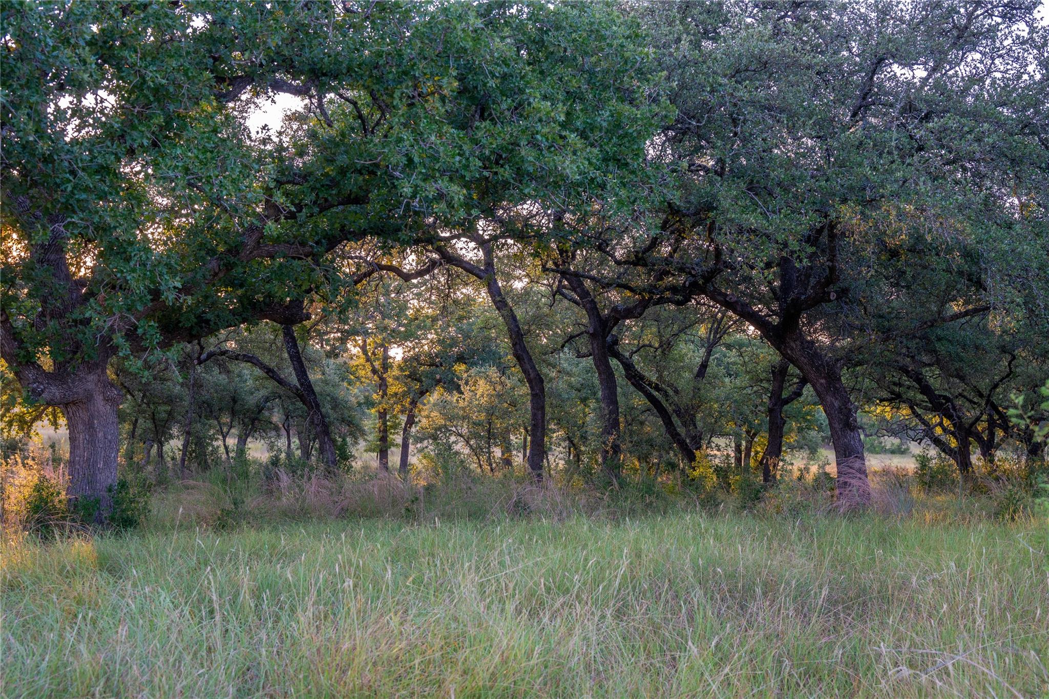 000 Rr Johnson City TX 78636