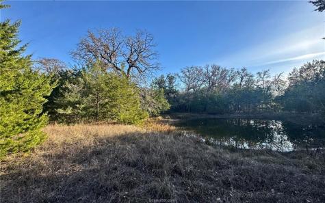 Tbd County Road 132 (21.44 Acres) Somerville TX 77879