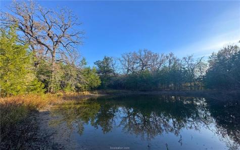 Tbd County Road 132 (21.44 Acres) Somerville TX 77879