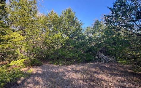 Tbd County Road 132 (21.44 Acres) Somerville TX 77879