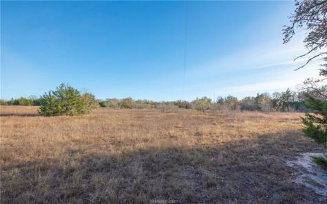 Tbd County Road 132 (21.44 Acres) Somerville TX 77879