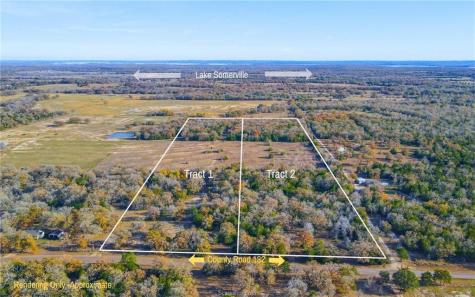 Tbd County Road 132 (21.44 Acres) Somerville TX 77879