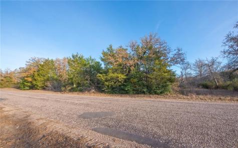 Tbd County Road 132 (21.44 Acres) Somerville TX 77879
