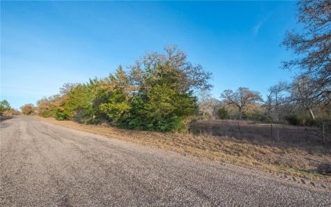 Tbd County Road 132 (21.44 Acres) Somerville TX 77879