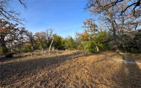 Tbd County Road 132 (21.44 Acres) Somerville TX 77879