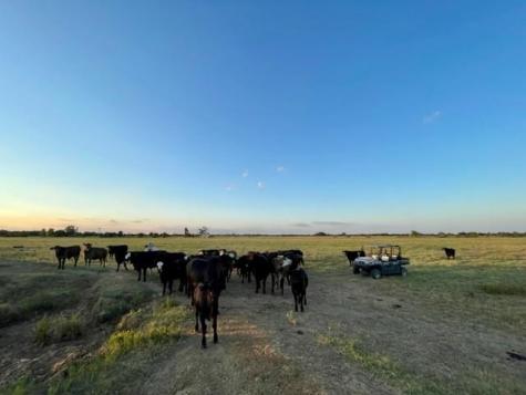 Tbd Creek 358 Gause TX 77857