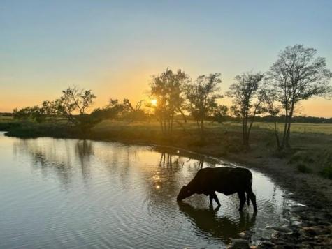 Tbd Creek 358 Gause TX 77857