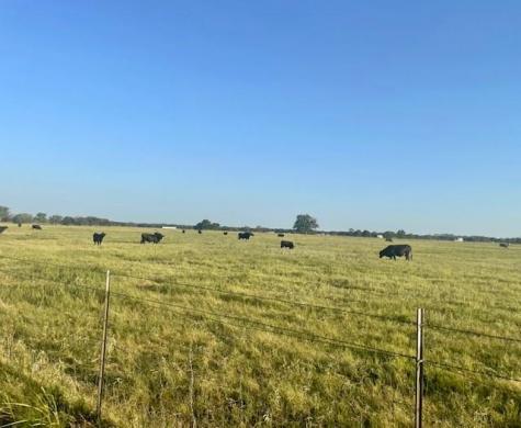 Tbd Creek 358 Gause TX 77857