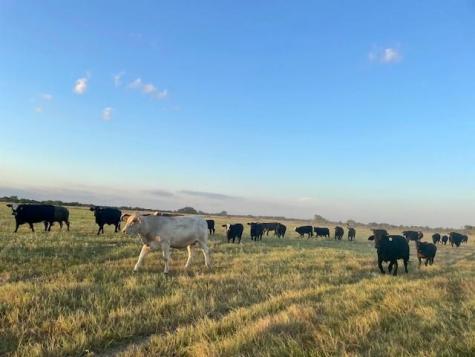 Tbd Creek 358 Gause TX 77857