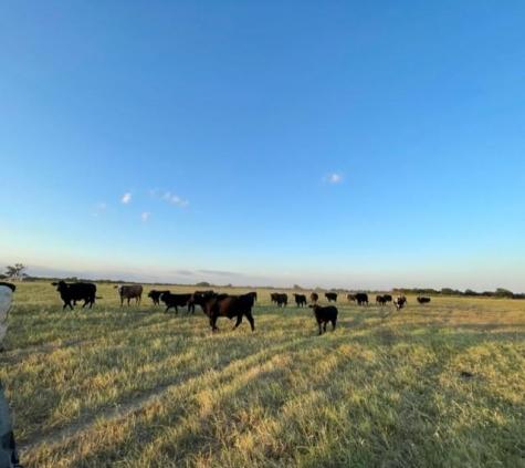 Tbd Creek 358 Gause TX 77857