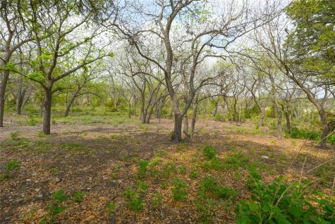 6980 Doss Spring Creek Road Fredericksburg TX 78624