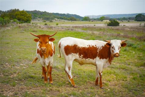 6980 Doss Spring Creek Road Fredericksburg TX 78624
