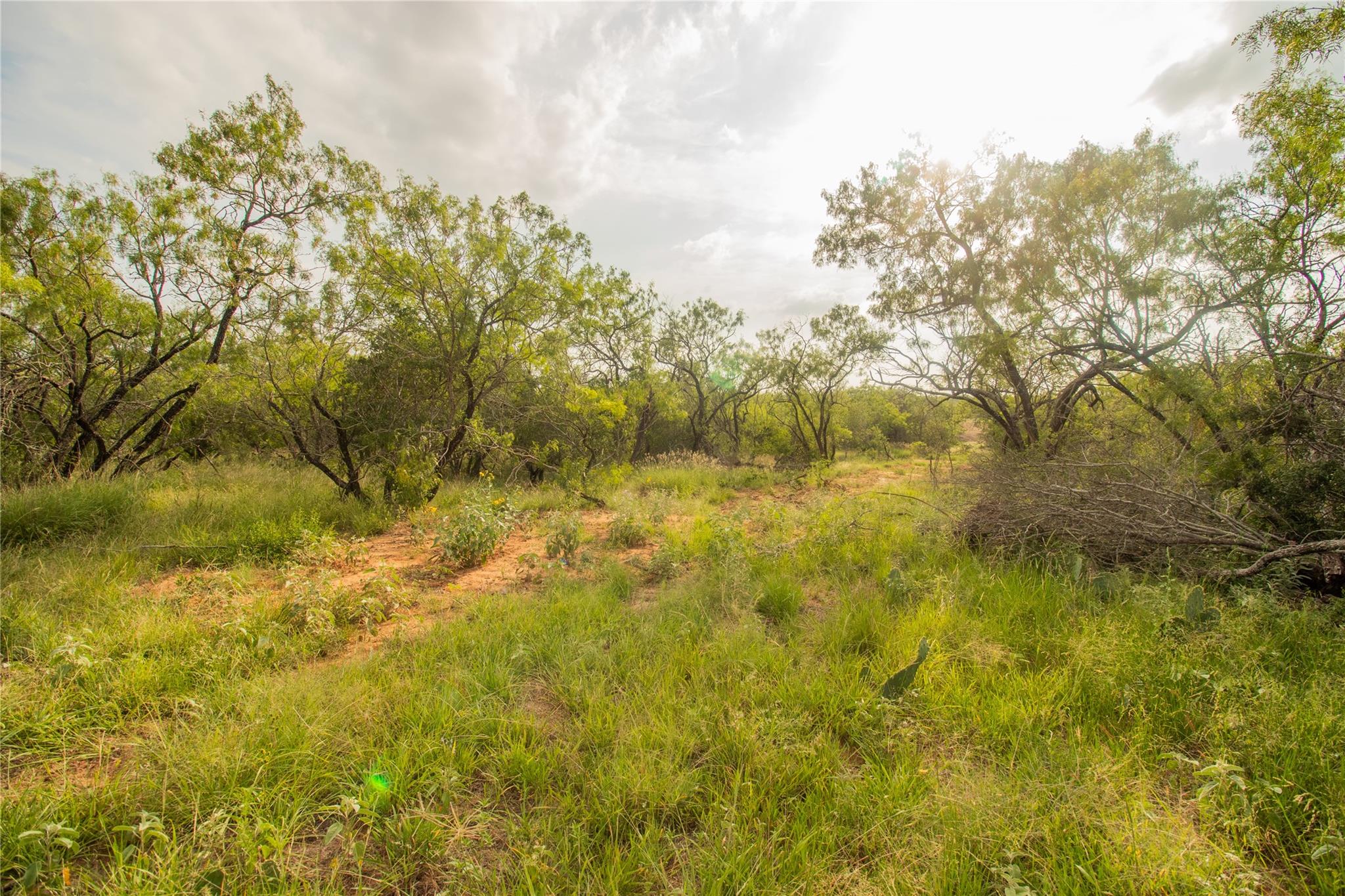 6562 Cross Road Seguin TX 78155