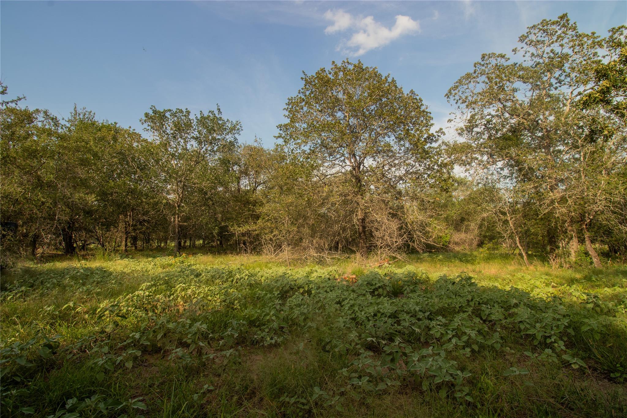 6562 Cross Road Seguin TX 78155