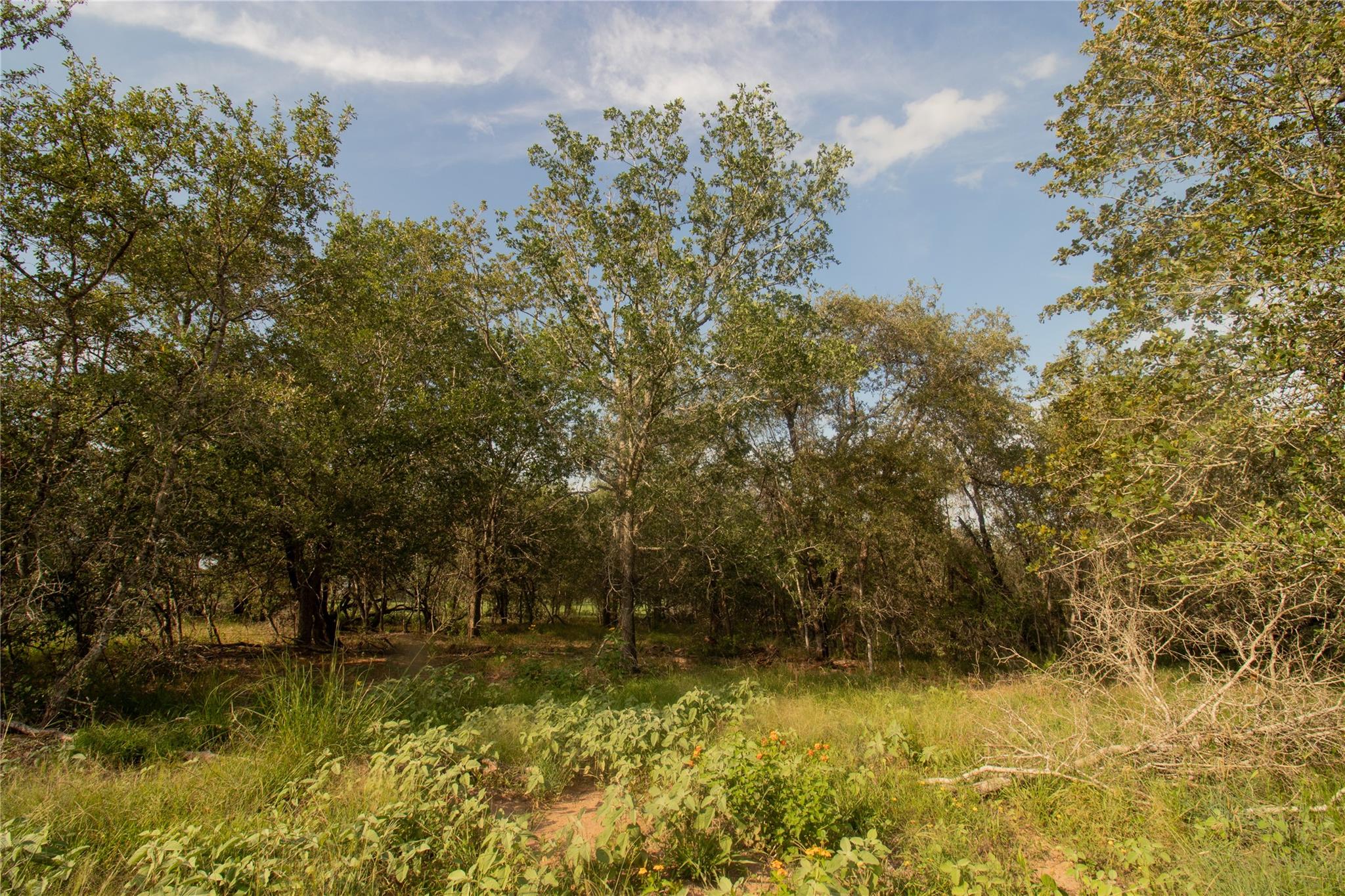 6562 Cross Road Seguin TX 78155