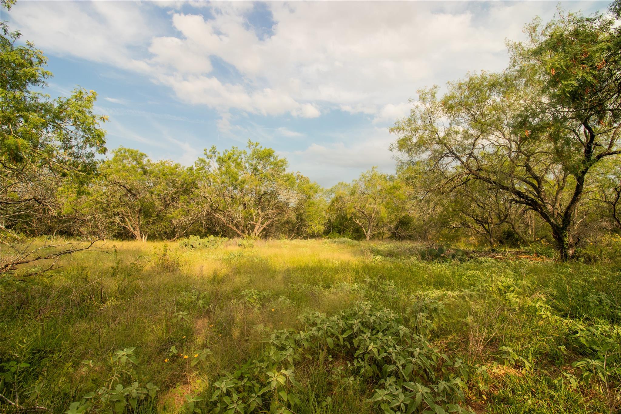 6562 Cross Road Seguin TX 78155