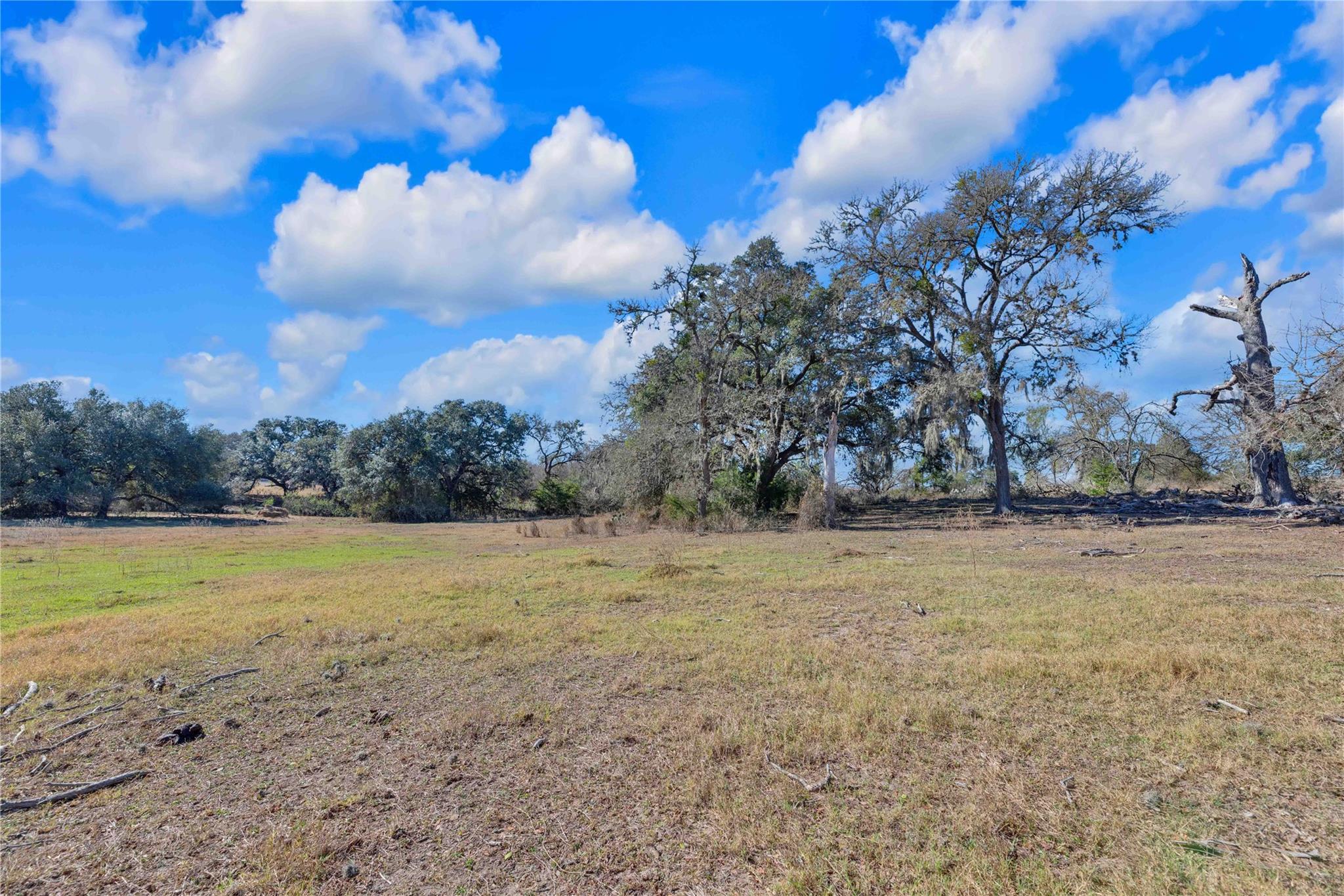 1243 North Jefferson Highway La Grange TX 78945
