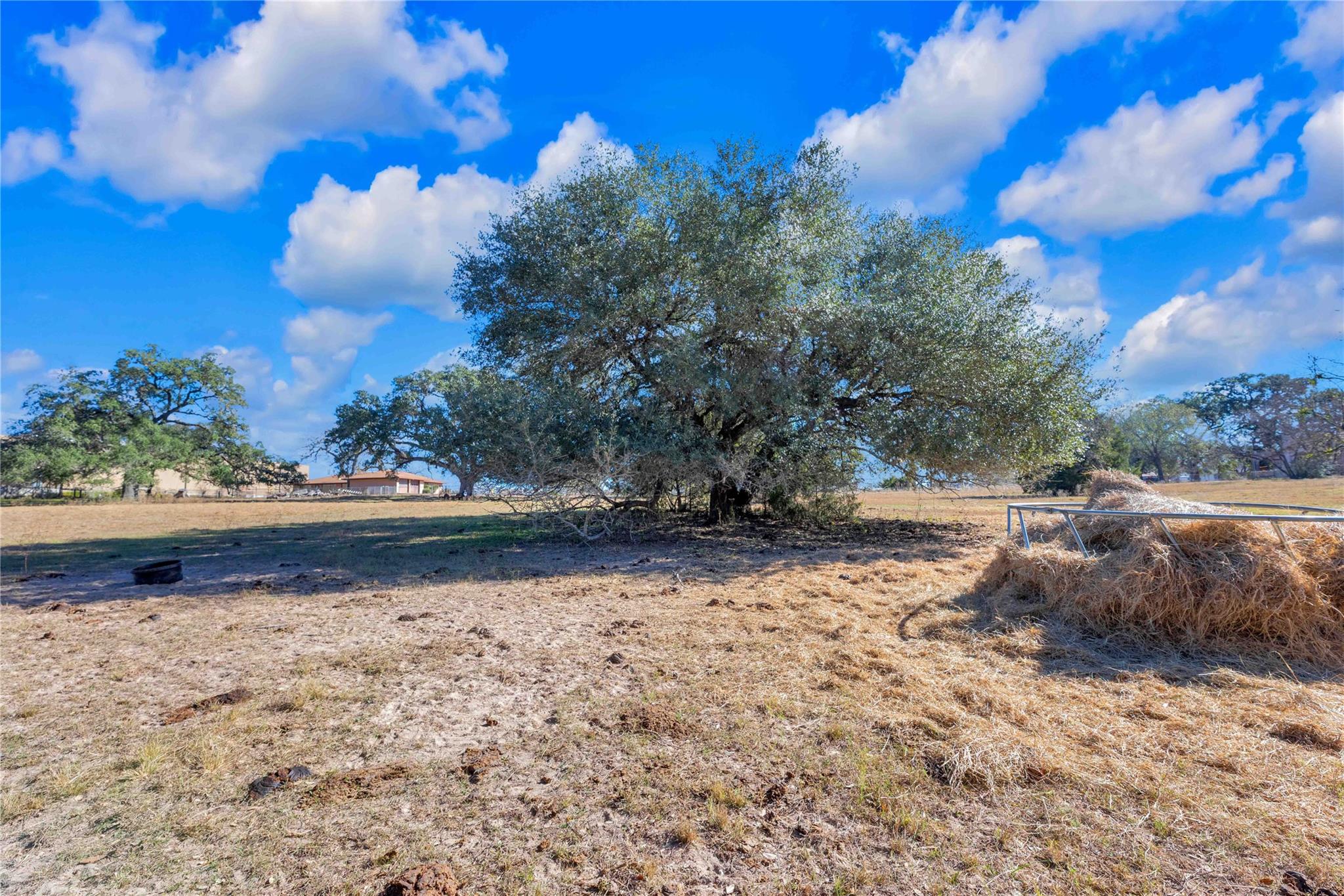 1243 North Jefferson Highway La Grange TX 78945