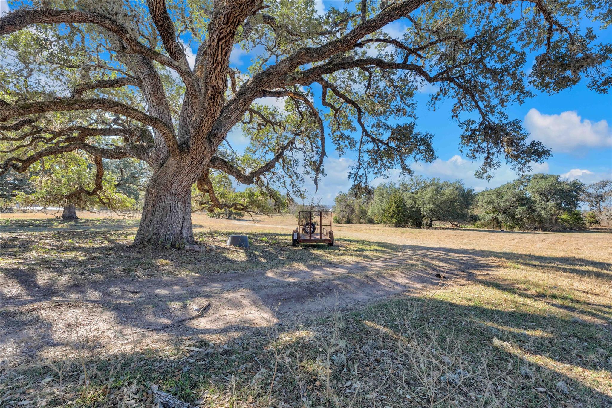 1243 North Jefferson Highway La Grange TX 78945