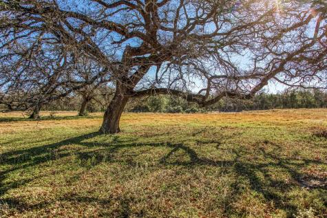 9354 Fm-2780 Burton TX 77835