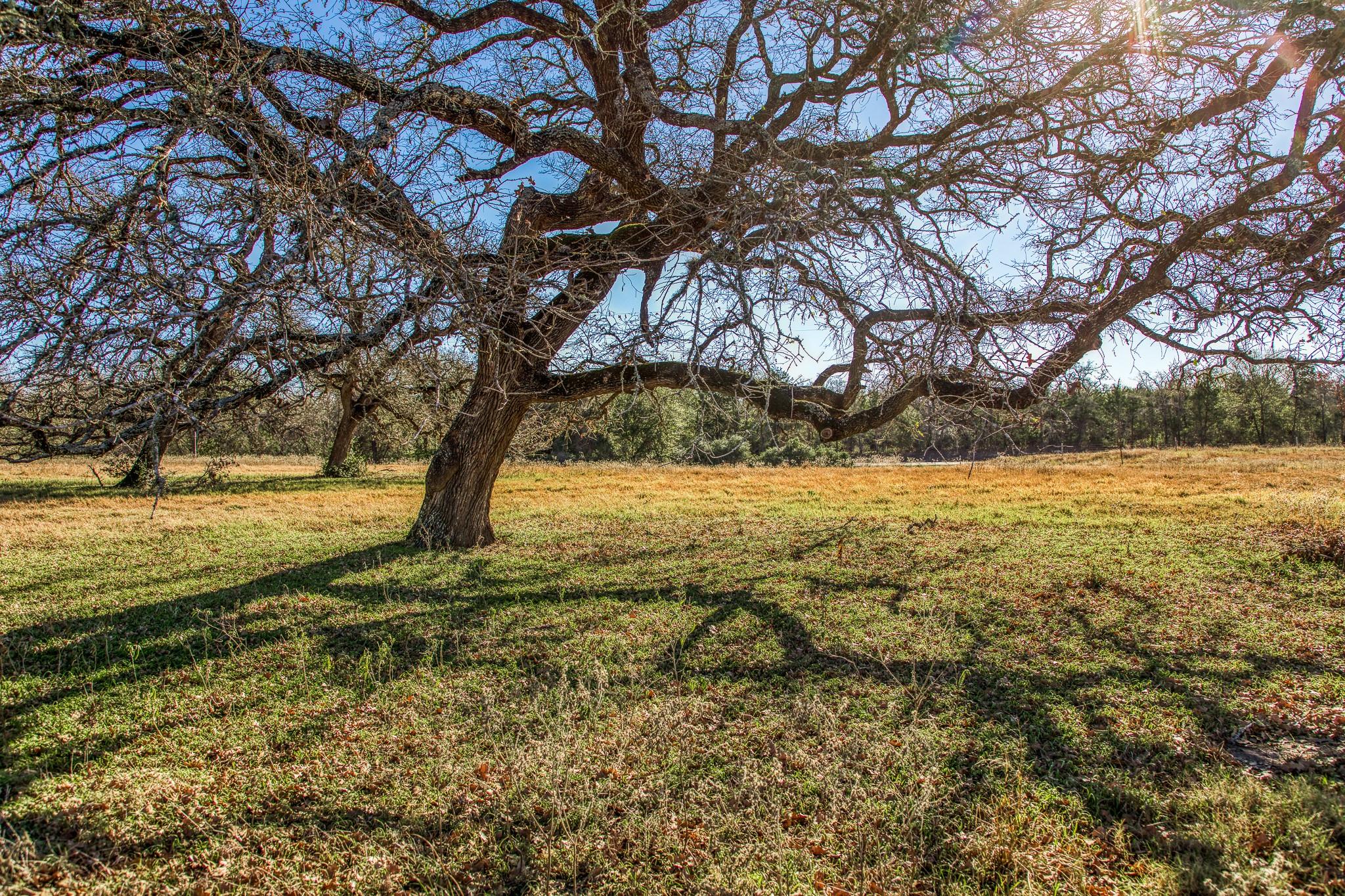 9354 Fm-2780 Burton TX 77835