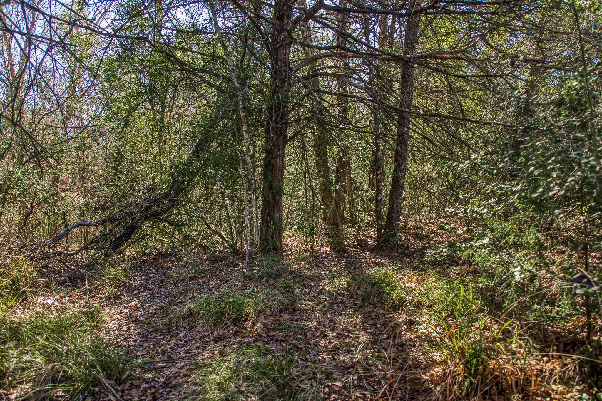 9354 Fm-2780 Burton TX 77835
