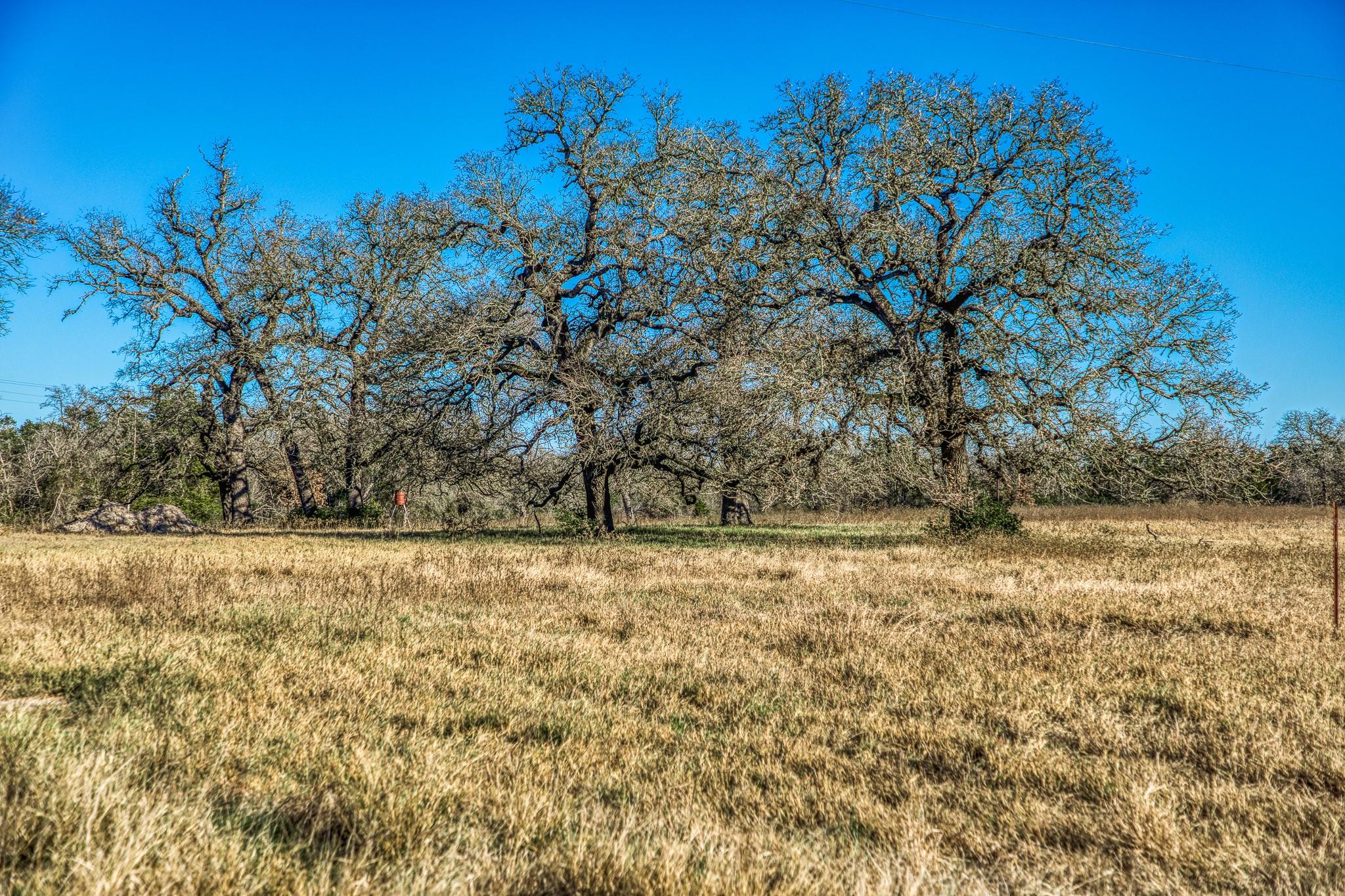 9354 Fm-2780 Burton TX 77835