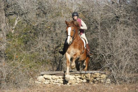 194 Private Road 4663 Boyd TX 76023