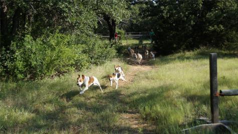 194 Private Road 4663 Boyd TX 76023