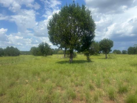 5001 Cr 258 Liberty Hill TX 78633