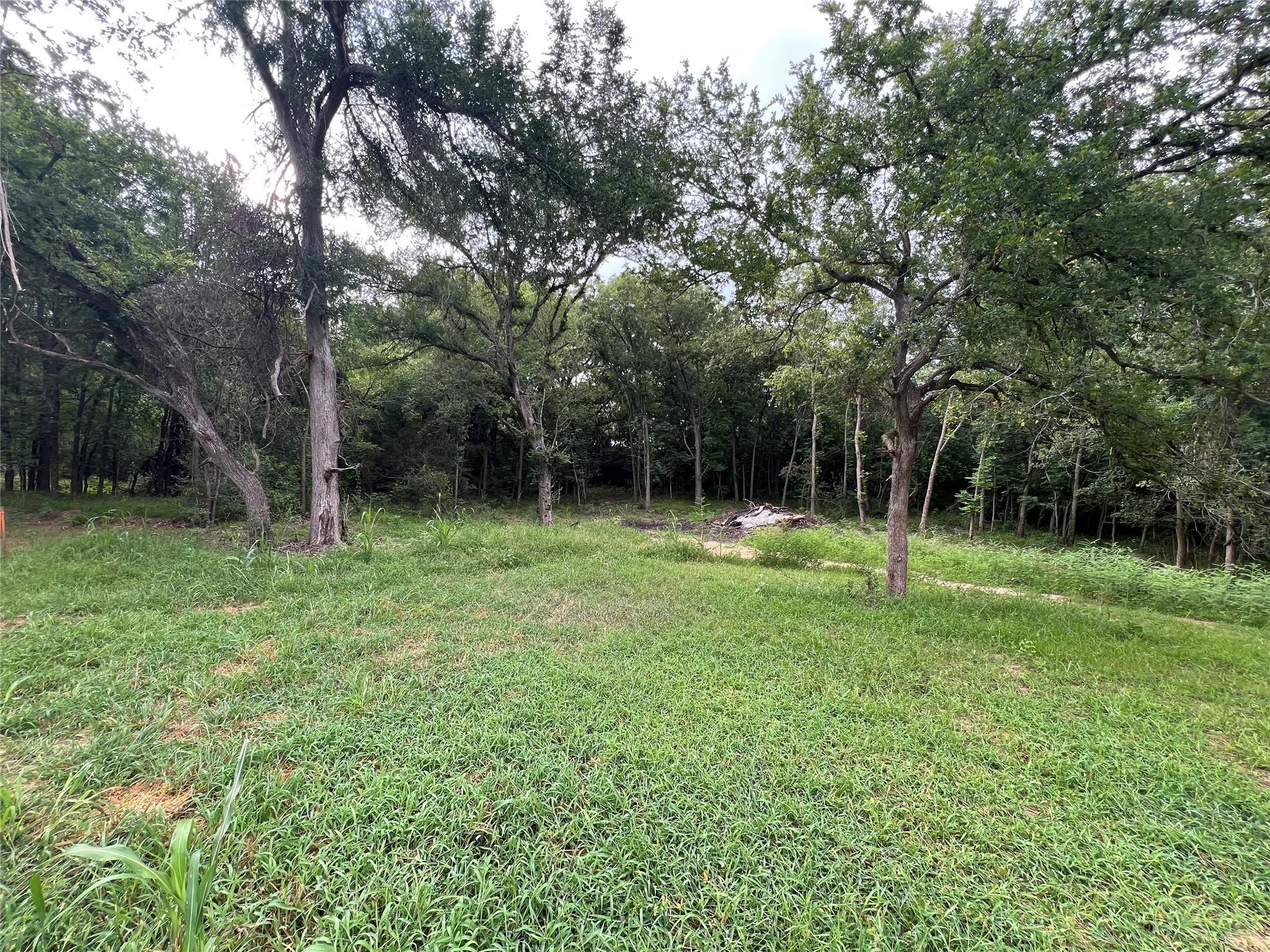 Tbd Fm 3000 Tract 2 Elgin TX 78621
