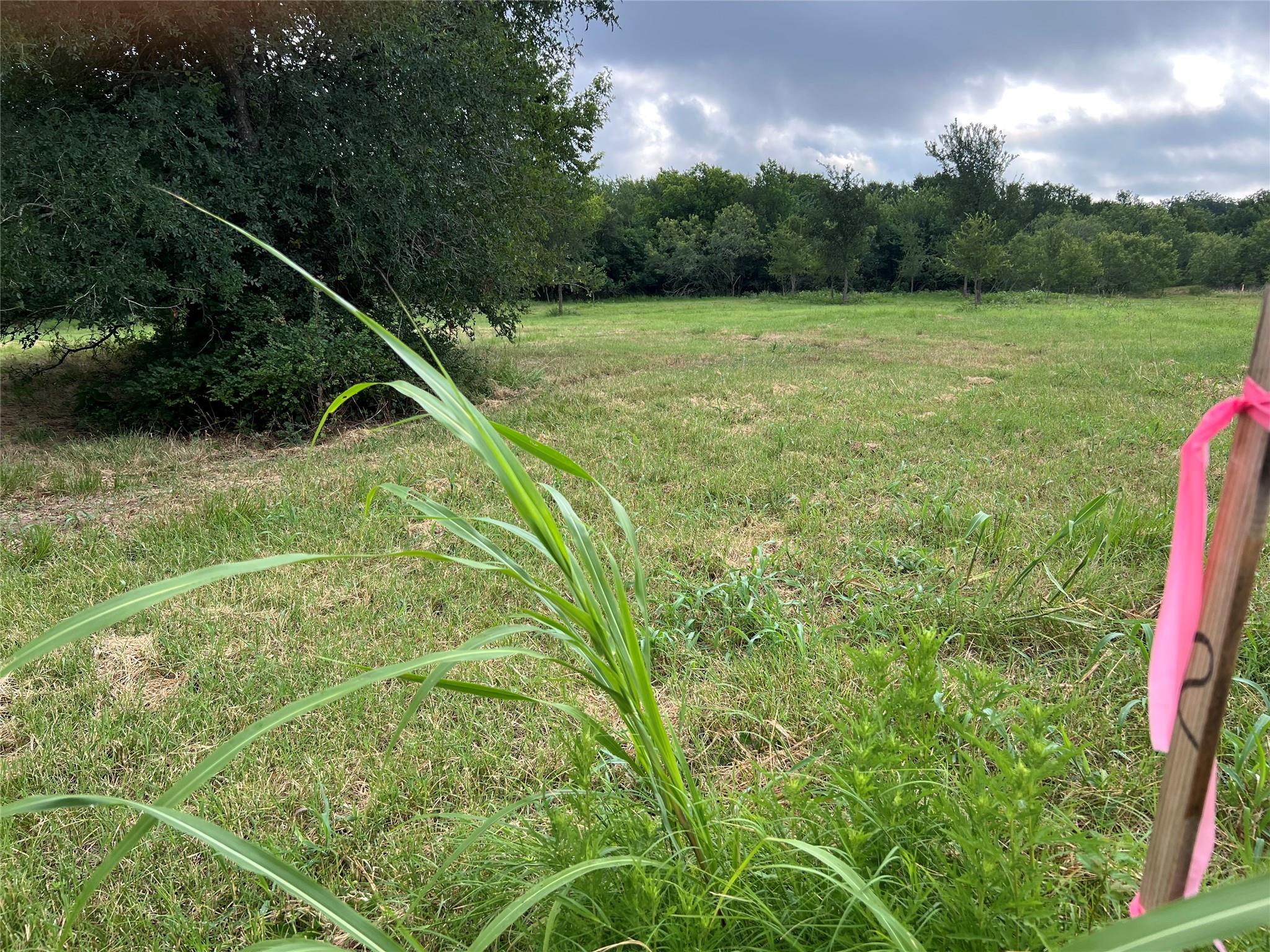 Tbd Fm 3000 Tract 2 Elgin TX 78621