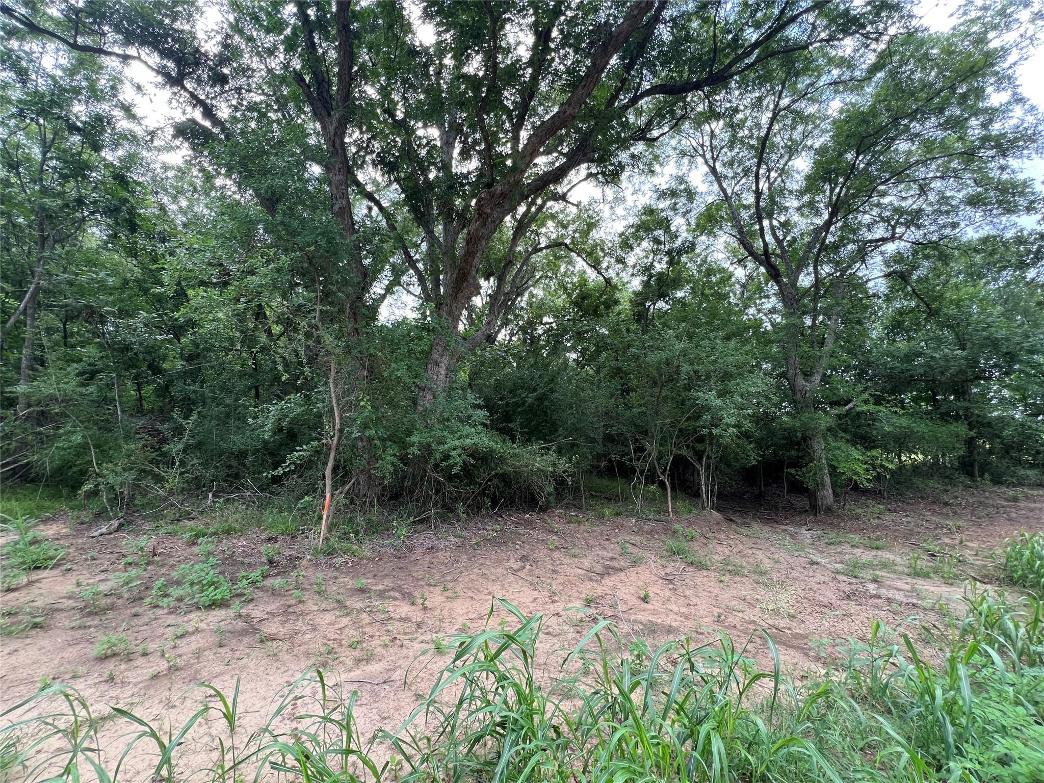 Tbd Fm 3000 Tract 2 Elgin TX 78621
