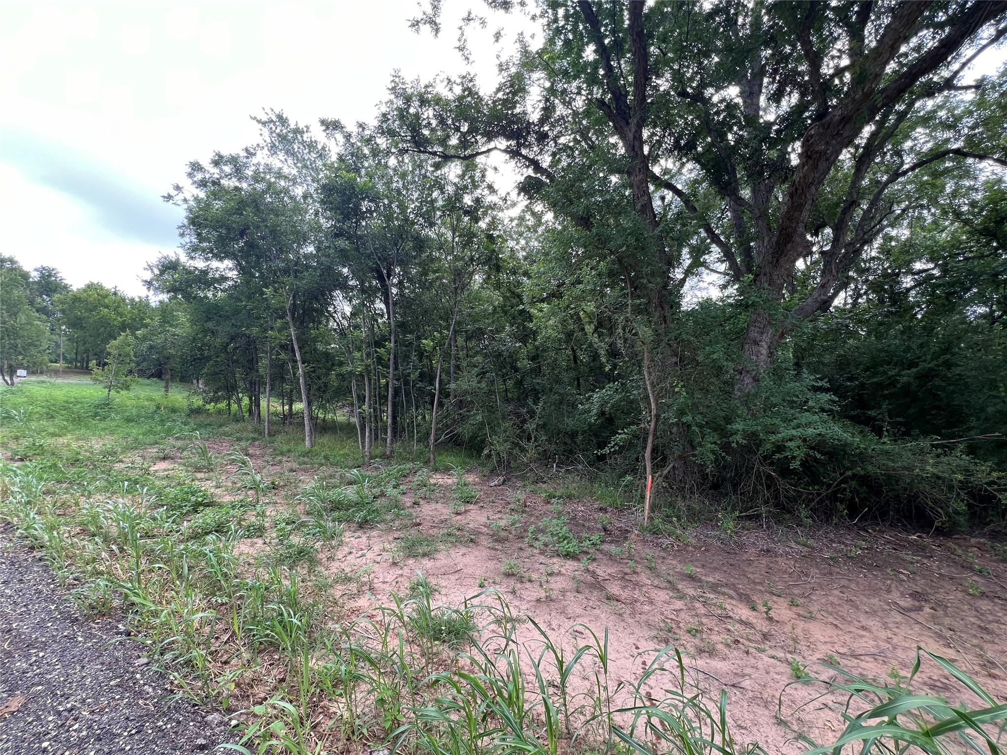 Tbd Fm 3000 Tract 2 Elgin TX 78621