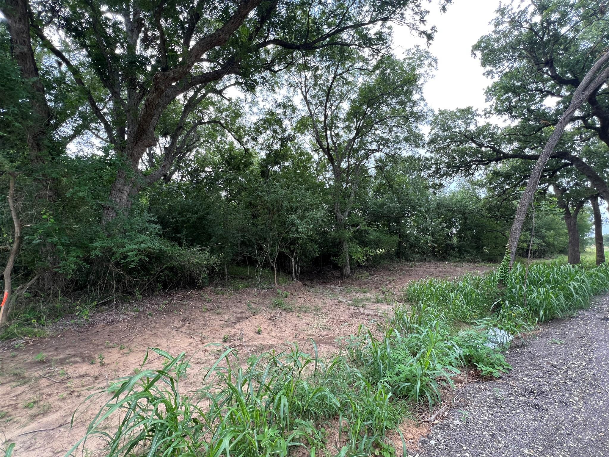 Tbd Fm 3000 Tract 2 Elgin TX 78621