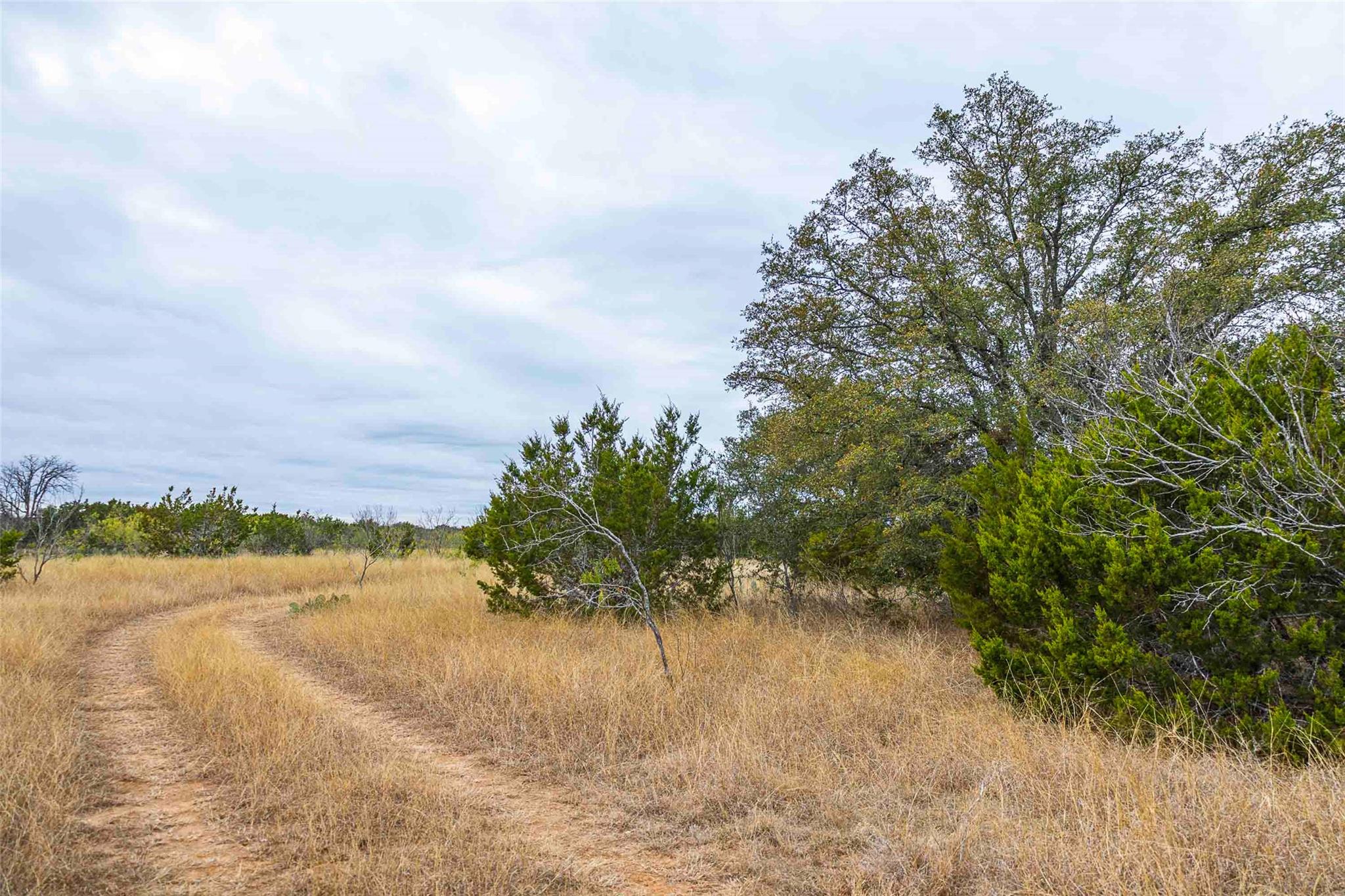 Tbd County Road 200 Bertram TX 78611