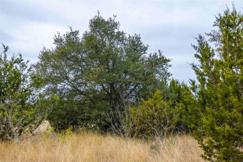 Tbd County Road 200 Bertram TX 78611