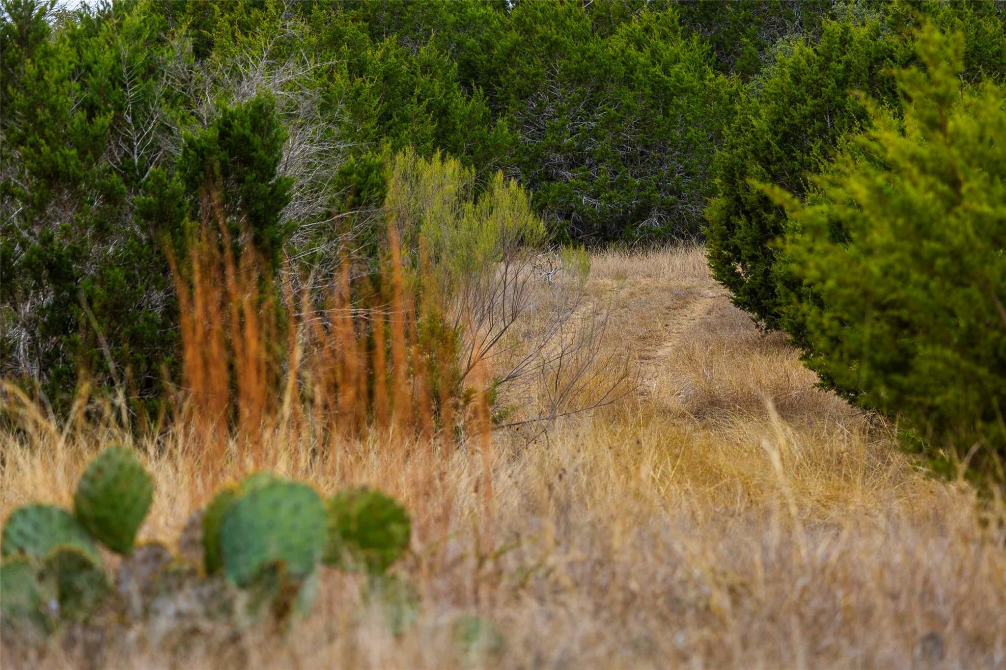 Tbd County Road 200 Bertram TX 78611