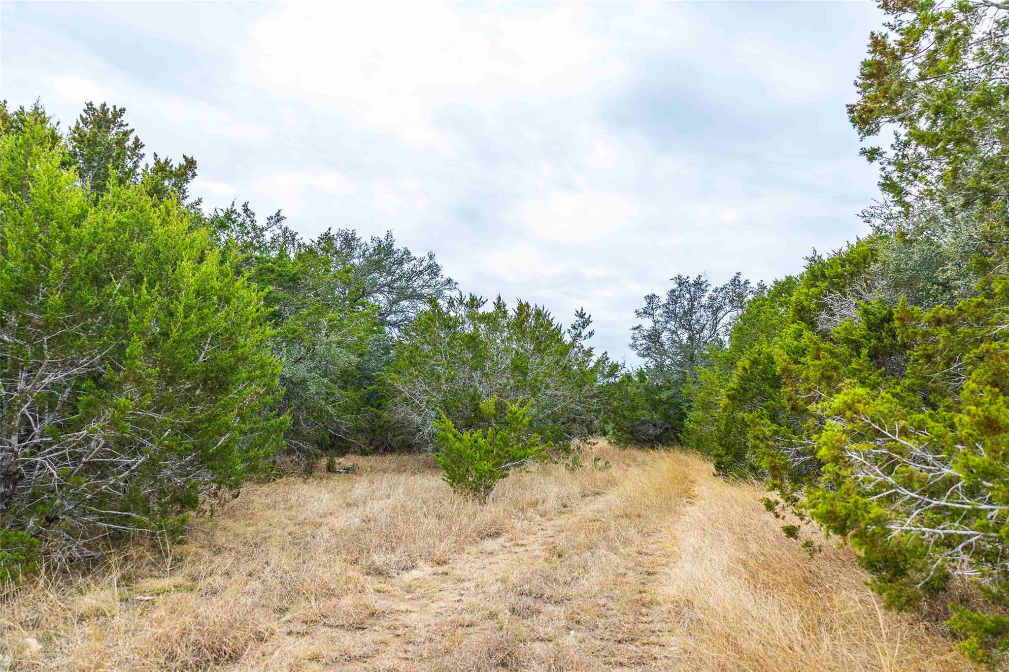 Tbd County Road 200 Bertram TX 78611