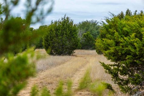 Tbd County Road 200 Bertram TX 78611