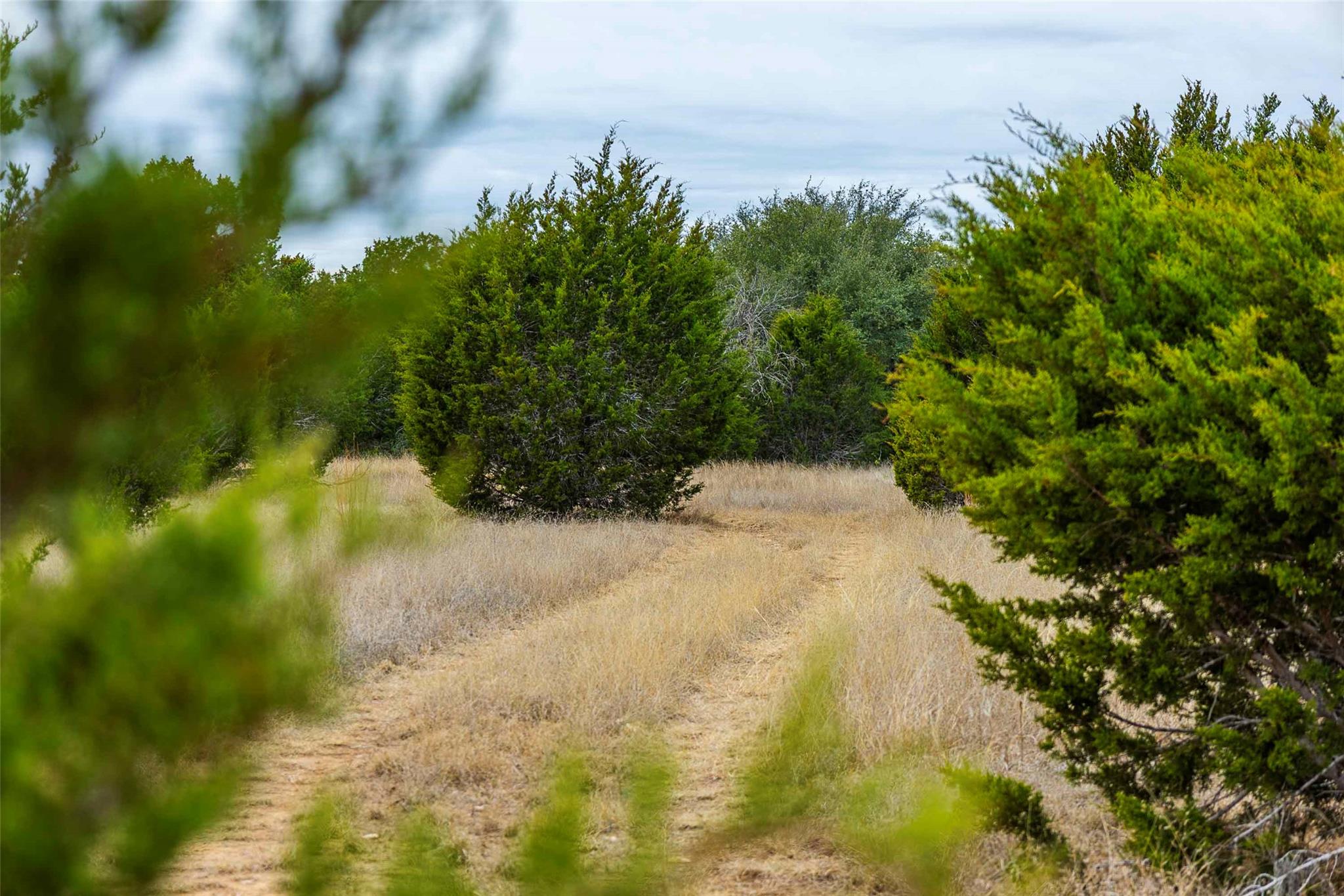Tbd County Road 200 Bertram TX 78611