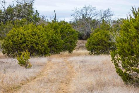 Tbd County Road 200 Bertram TX 78611