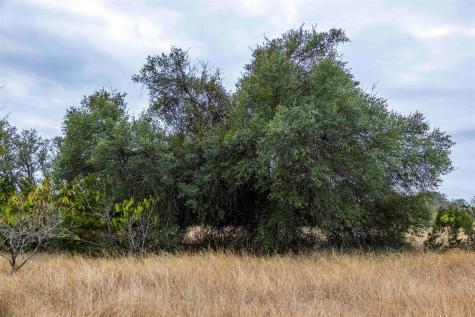 Tbd County Road 200 Bertram TX 78611